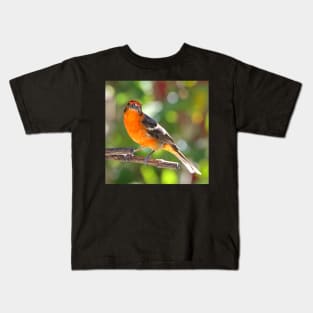 Baltimore Oriole Kids T-Shirt